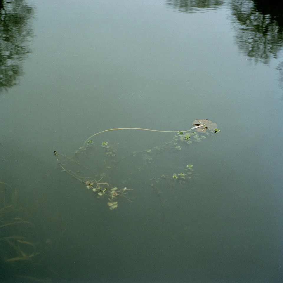 From the series  Synchronised Swimming