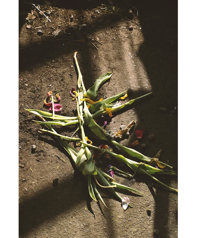 Photograd image 8.jpg