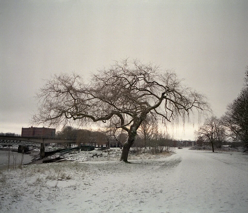 photogradrcarne7.jpg