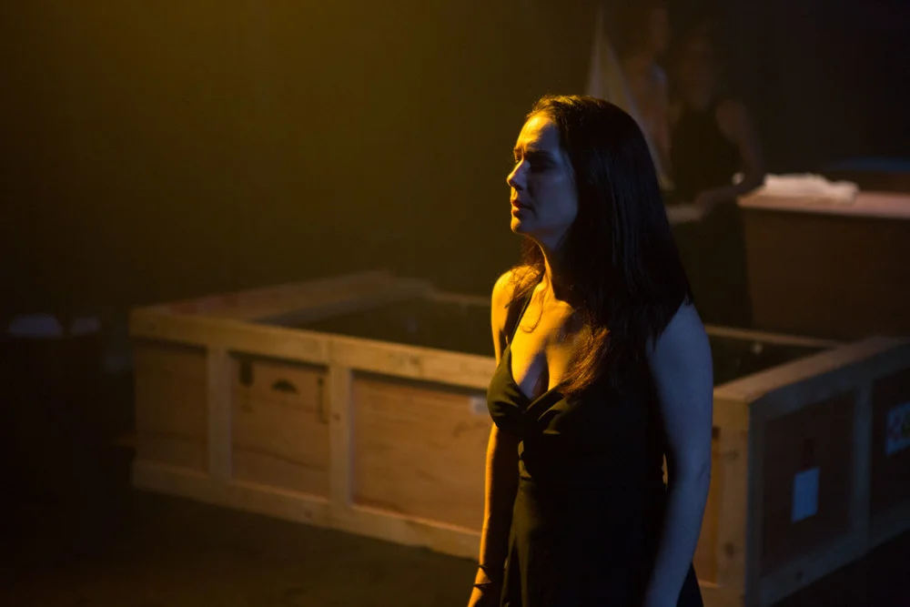 Metamorphoses 3.jpg