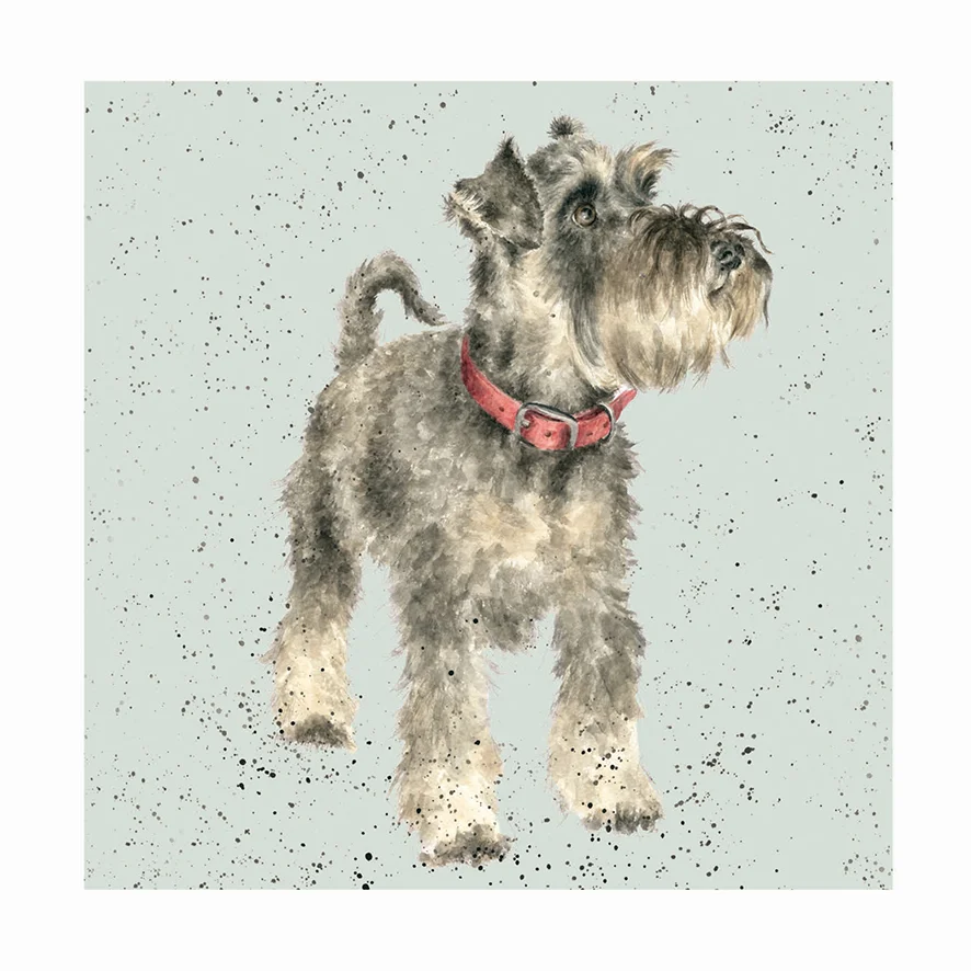 Hannah Dale's A Dog's Life Range