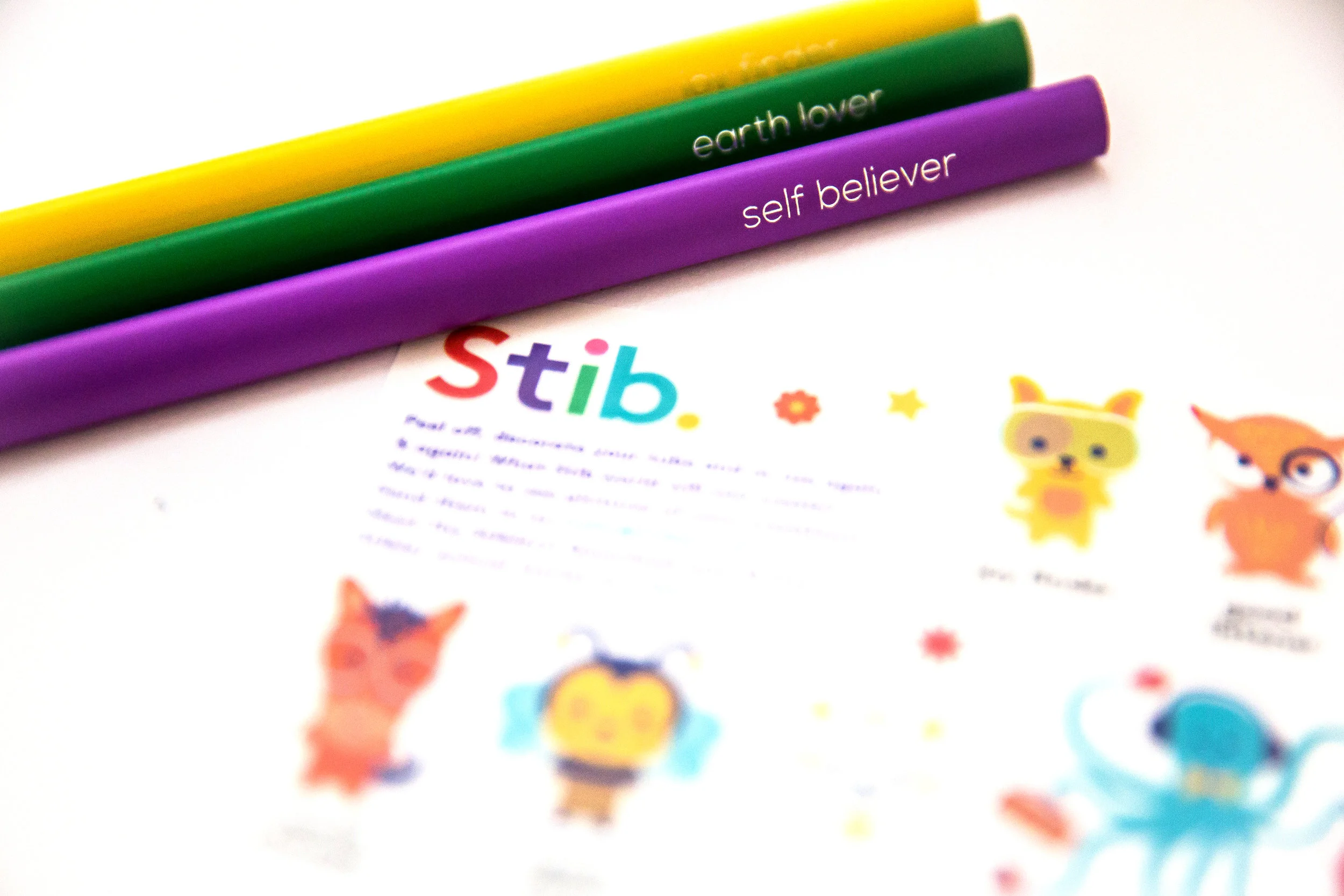 PIC 4 STIB.jpg