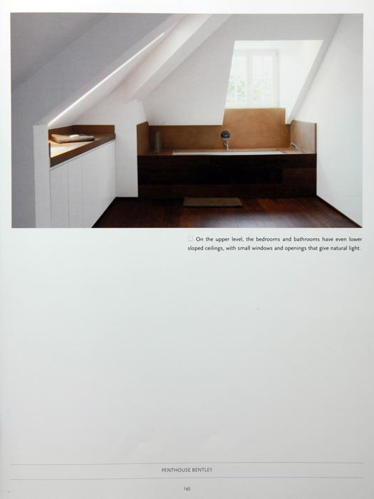 big book of lofts_p145.jpg