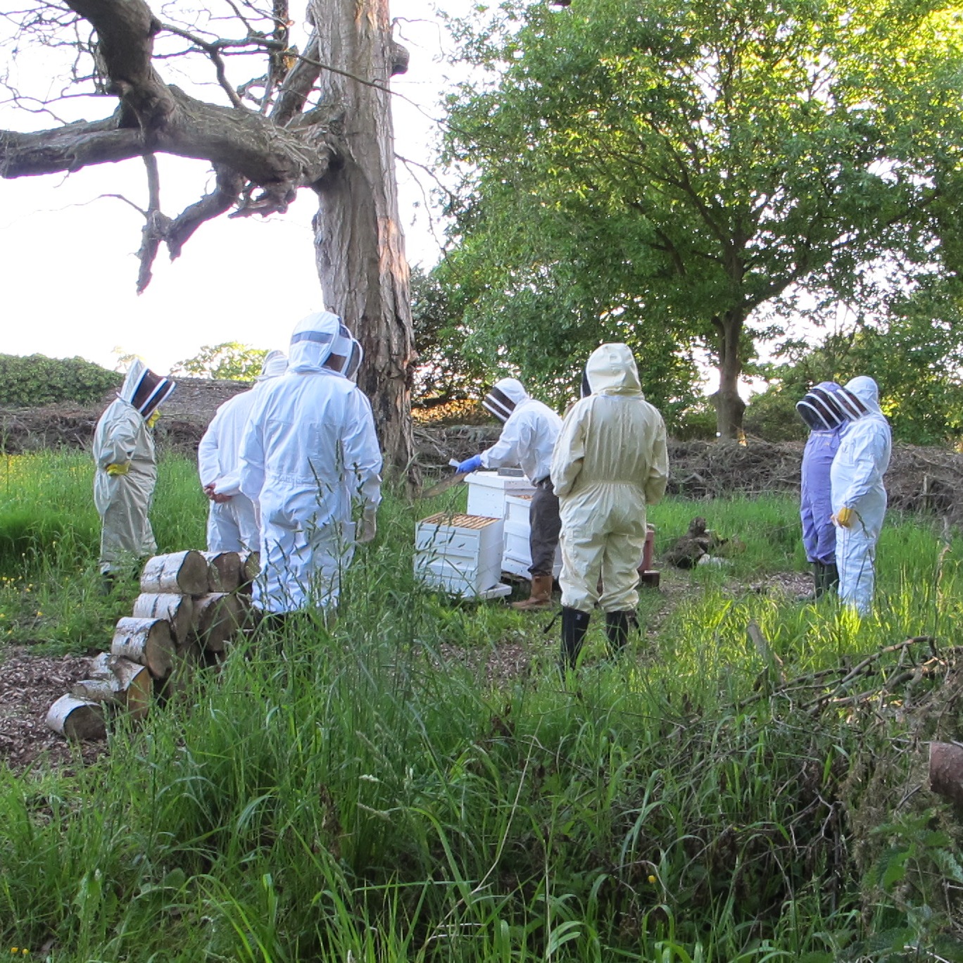 MDBKA  Beekeepers visit sq.jpg