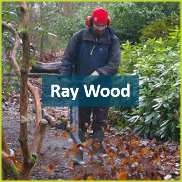 Ray Wood volunteer.jpg