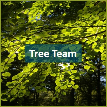 Tree team volunteer.jpg