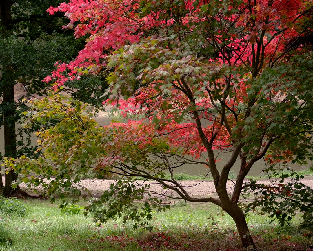 Photography Workshop