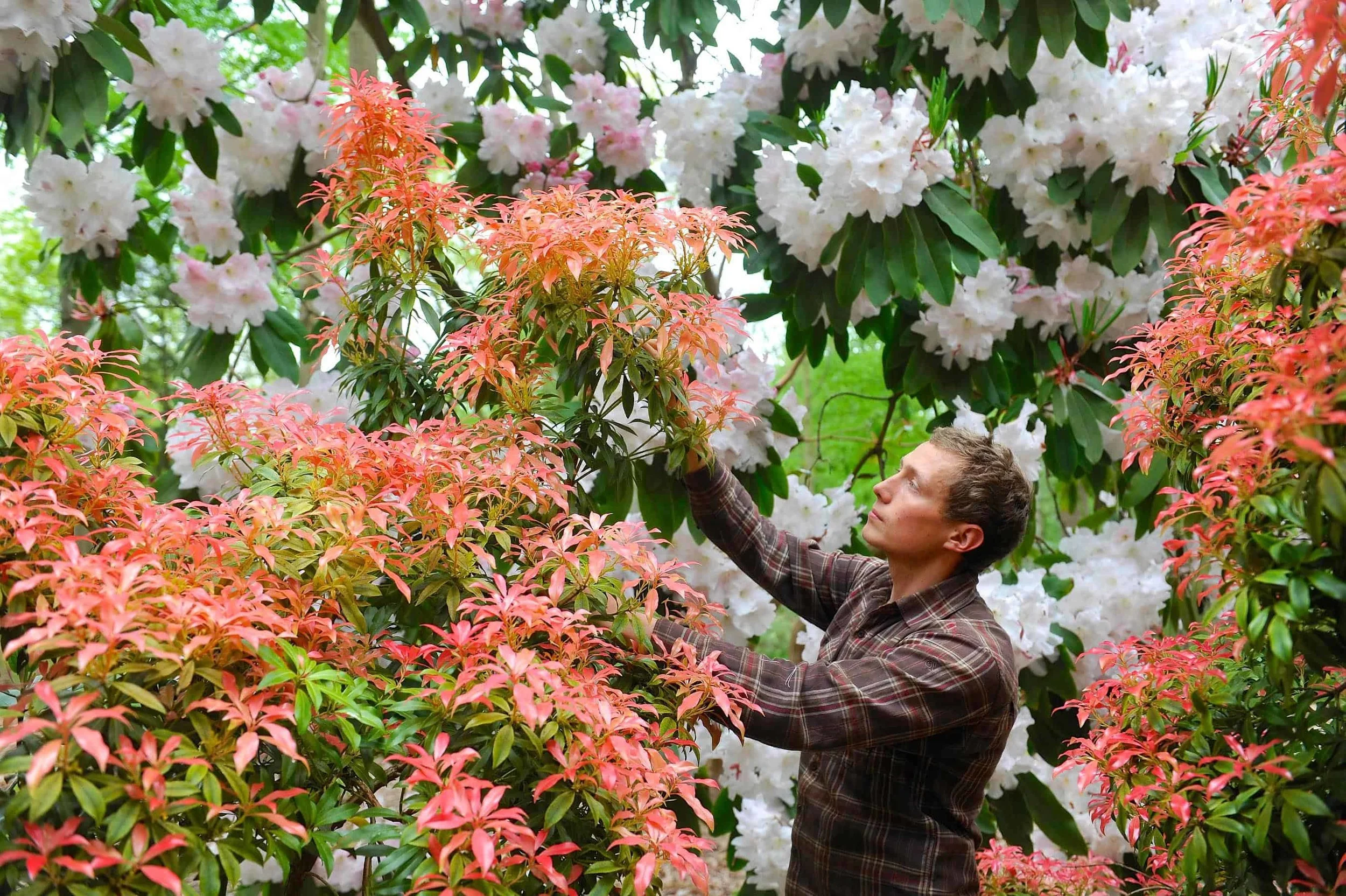 Ray Wood Spring Tours 16 May