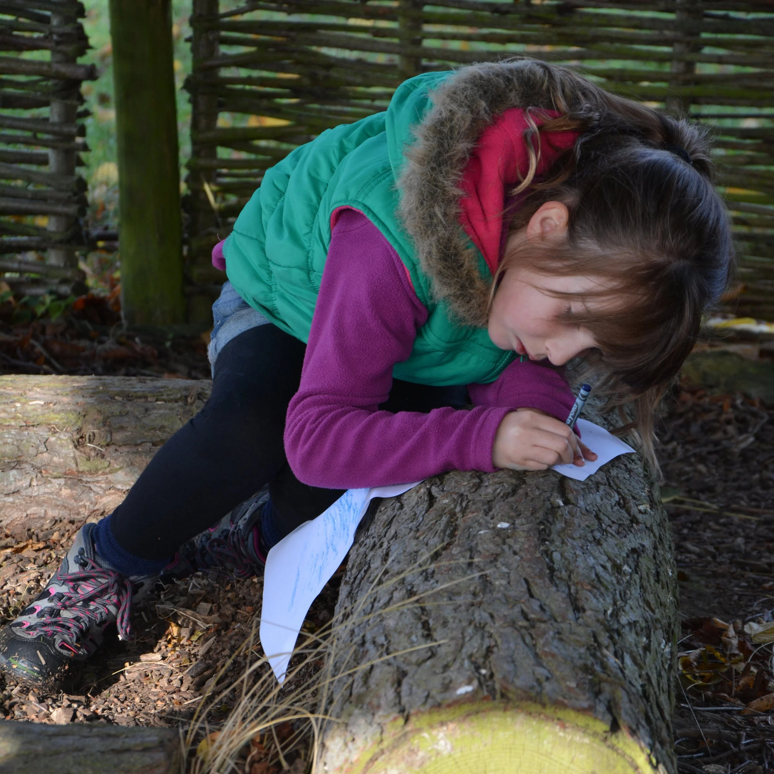 Kids' Activity Week: Up and About