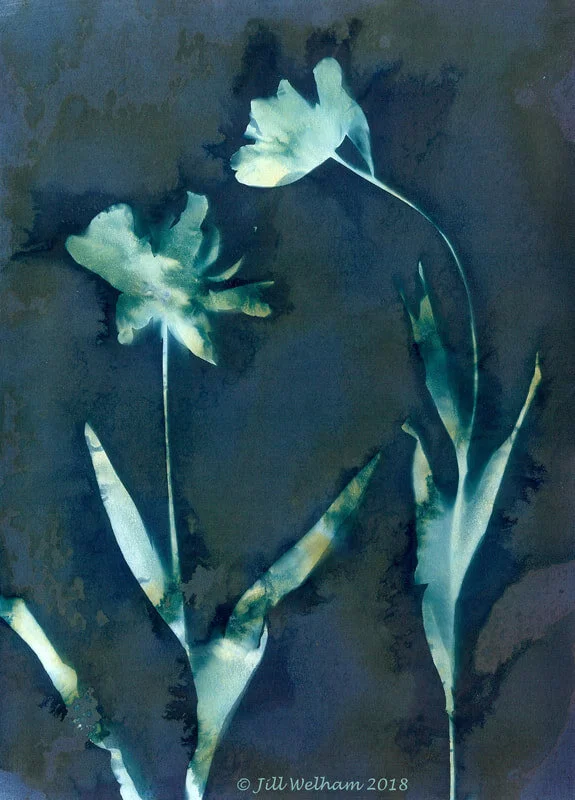 Sunlight Through the Leaves - Jill Welham Exhibition