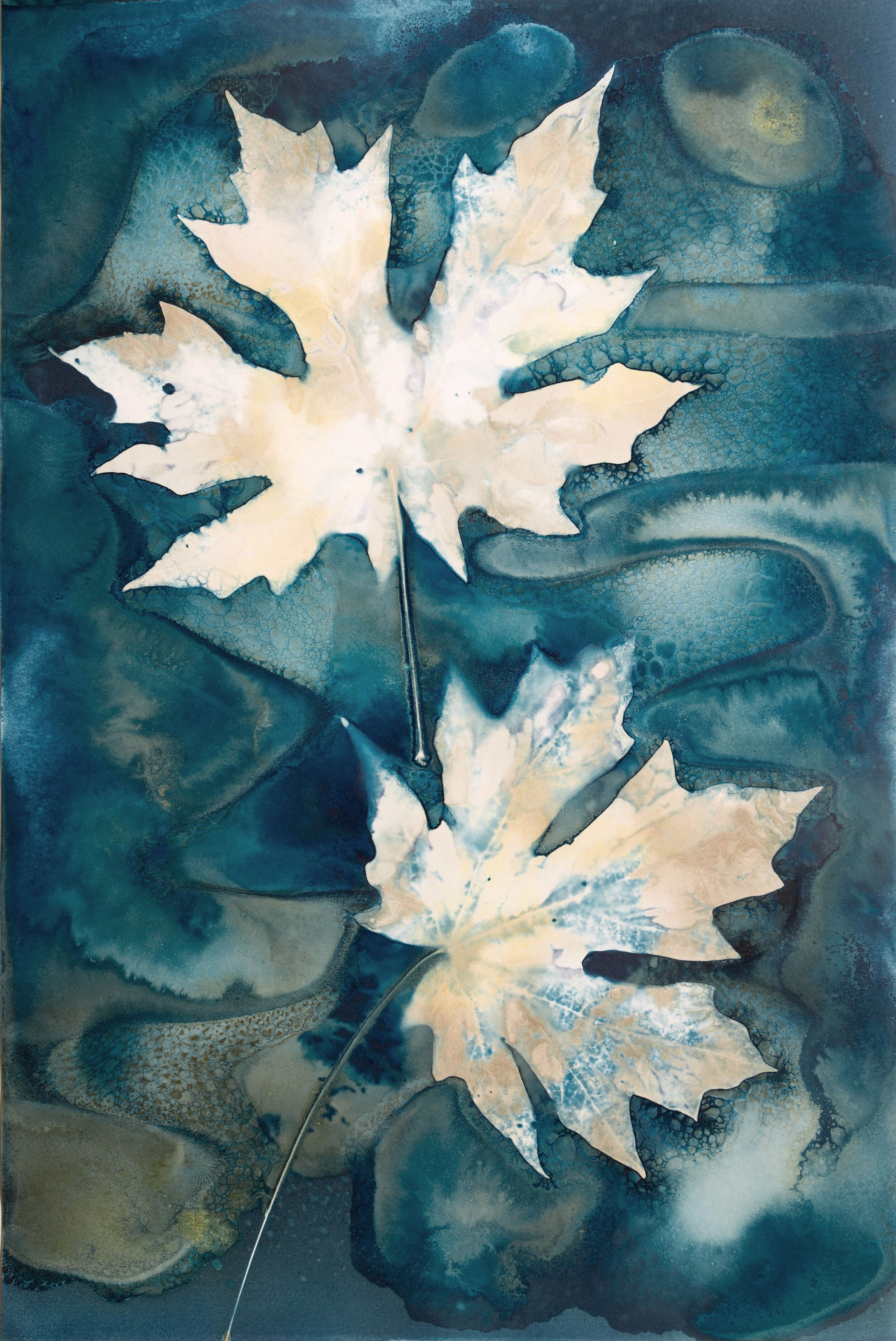 Sunlight Through the Leaves – Jill Welham Exhibition Sunlight Through the Leaves – Jill Welham Exhibition