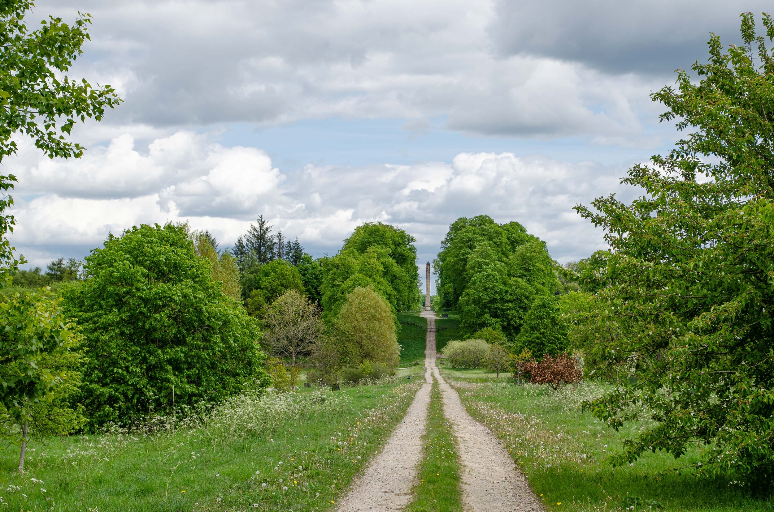 Yorkshire Arboretum Reopens - Offers Safe, Spacious Days Out for the Whole Family