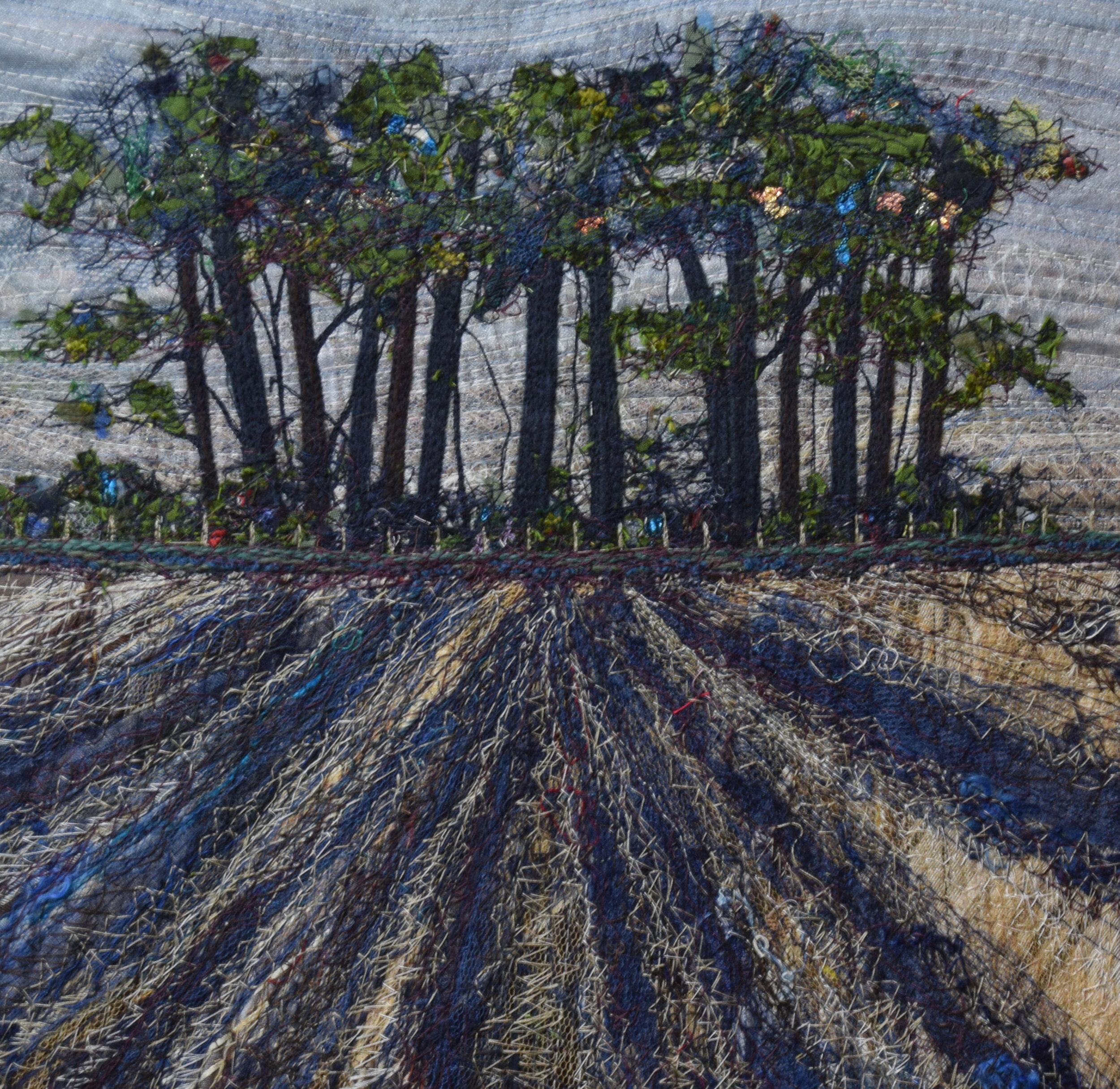 A Copse of trees near Rudston.jpg