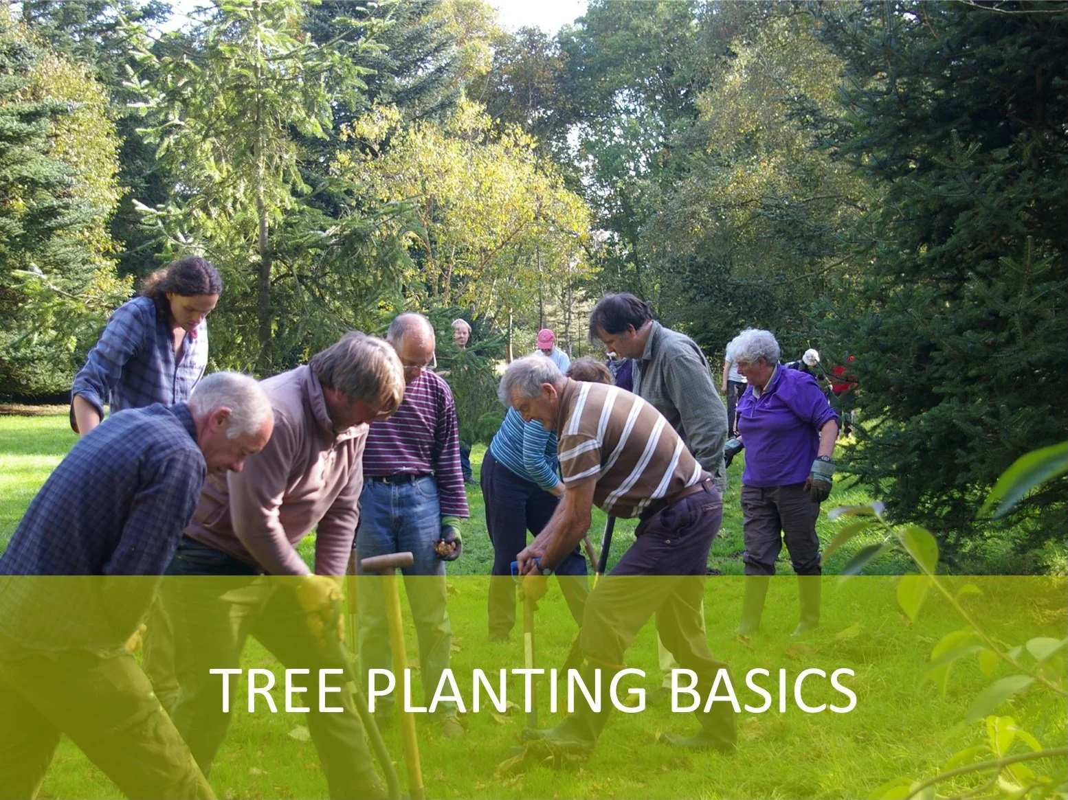 Trees for Your Garden: Planting for the Best Start