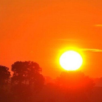 Dawn Chorus Walk