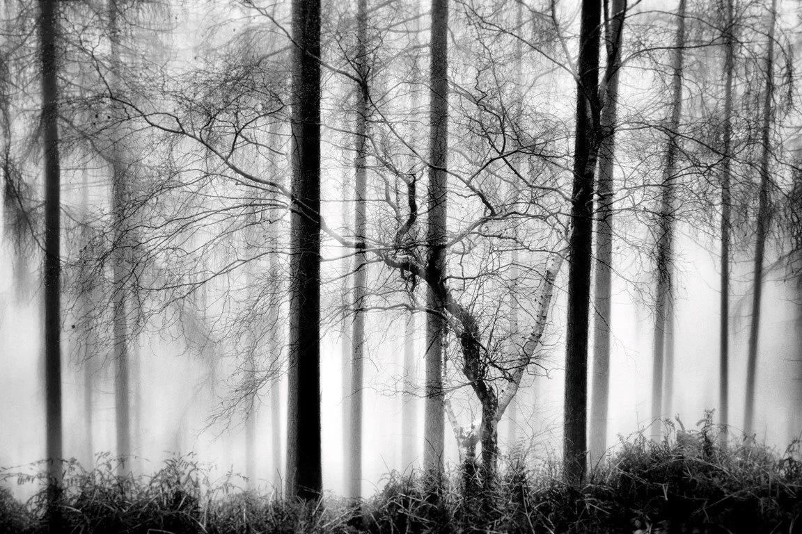 Exhibition: Peter Heaton