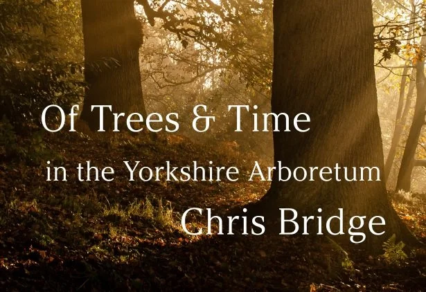 Book Launch: Of Trees & Time, Chris Bridge