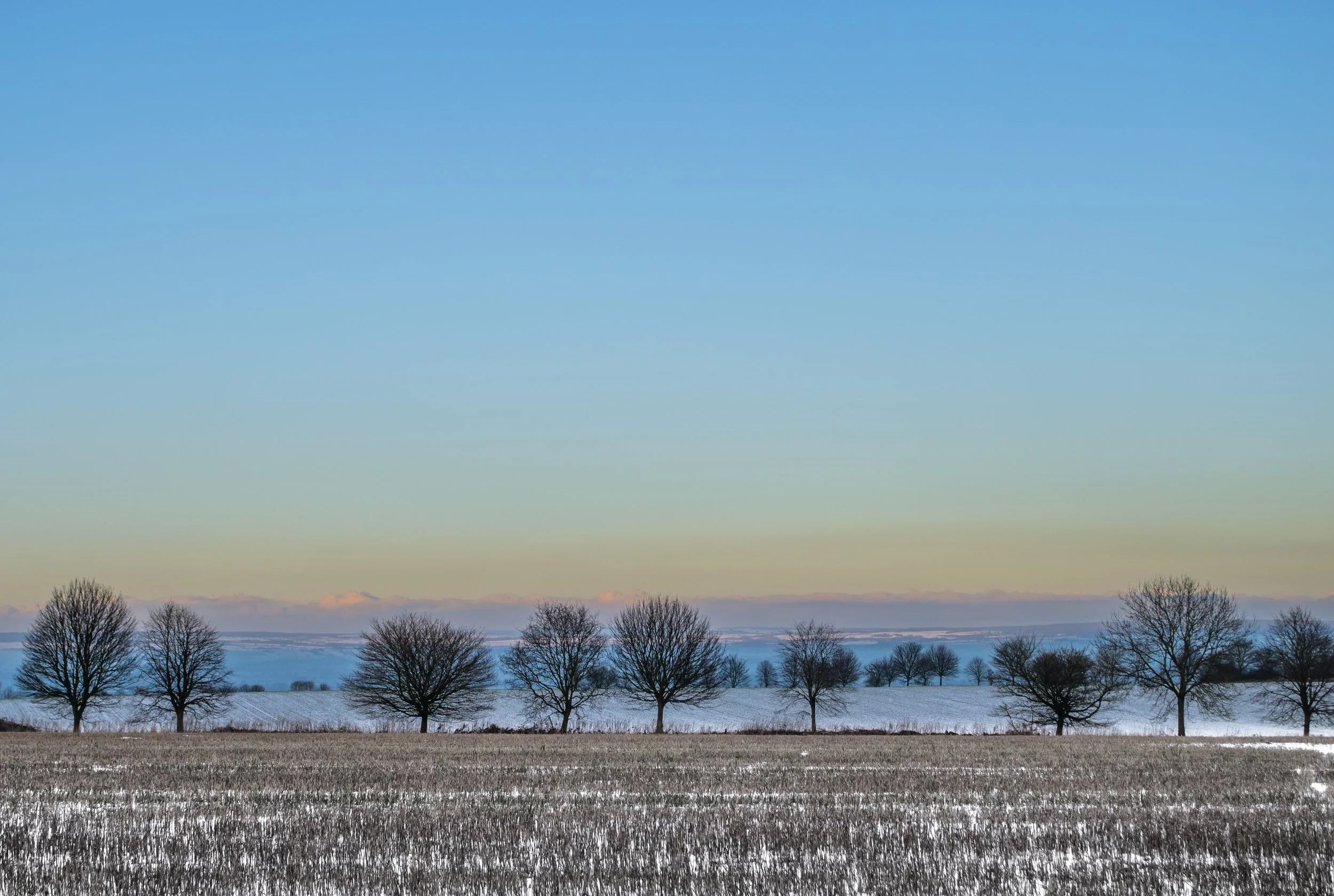 Exhibition: Mathew Harrison - 'Aether & Wood'