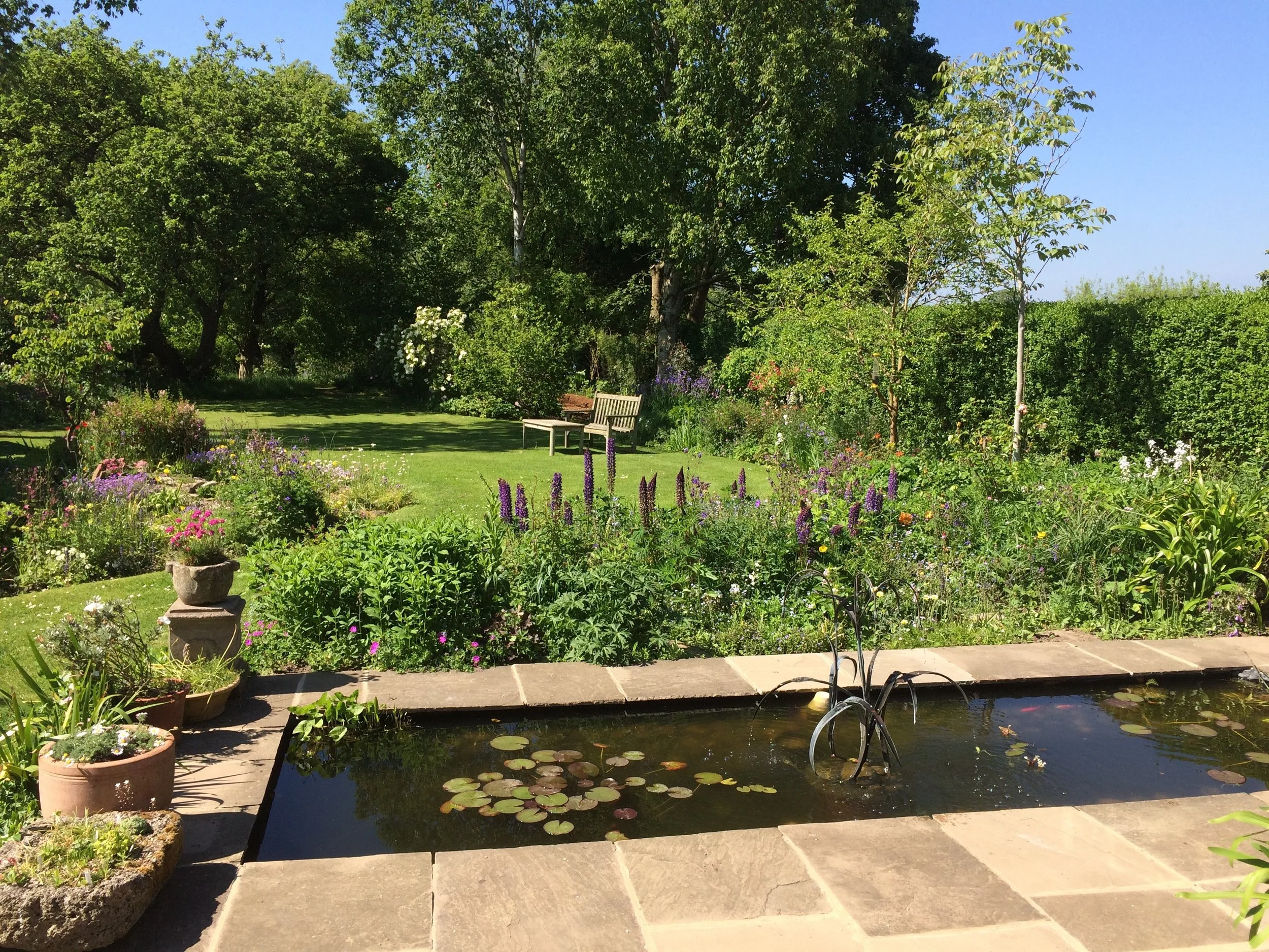 Open Gardens: Fossgyl (533) &amp; 519 Huntington Road, Huntington YO32 9PY
