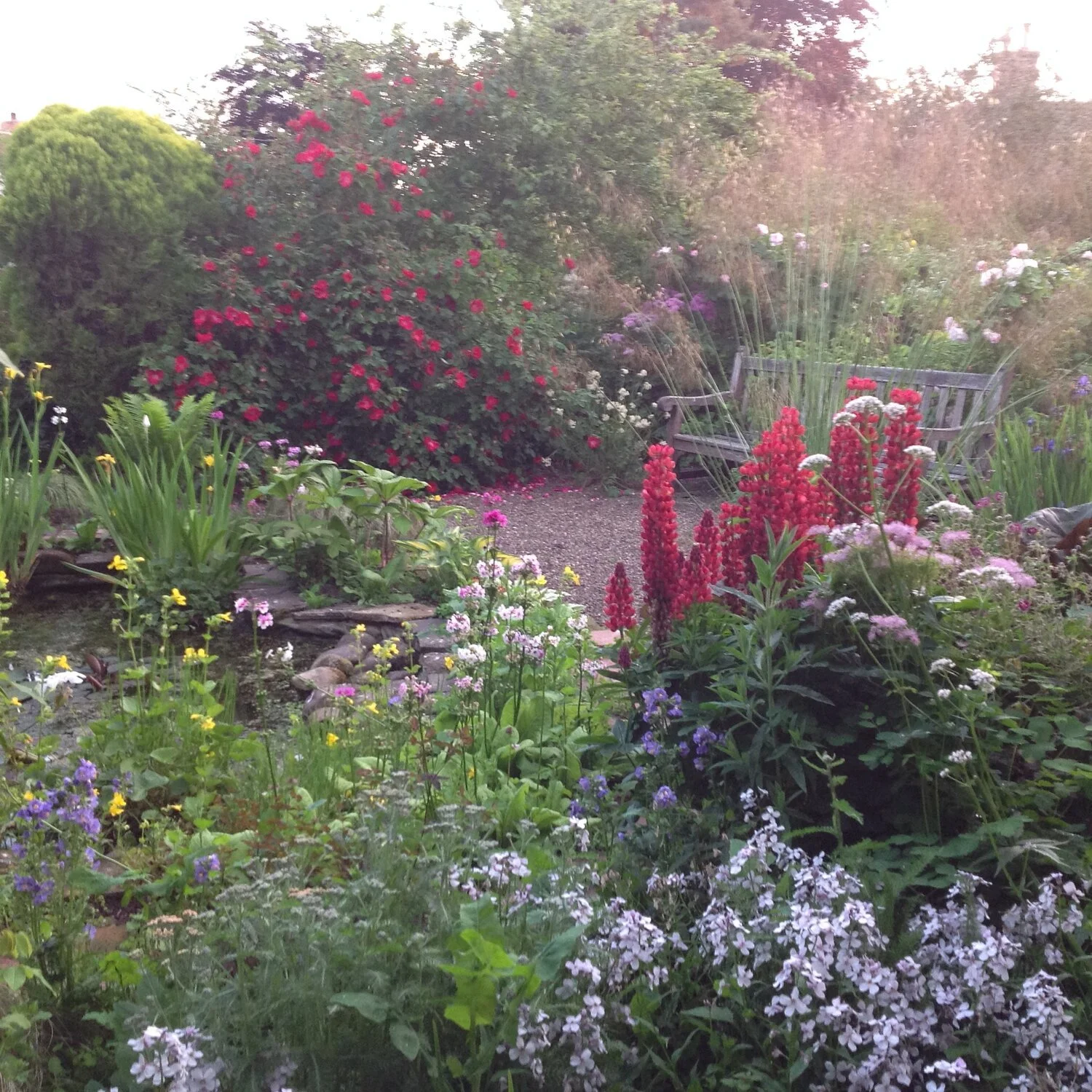 Open Gardens: Tregonning, Ellerton