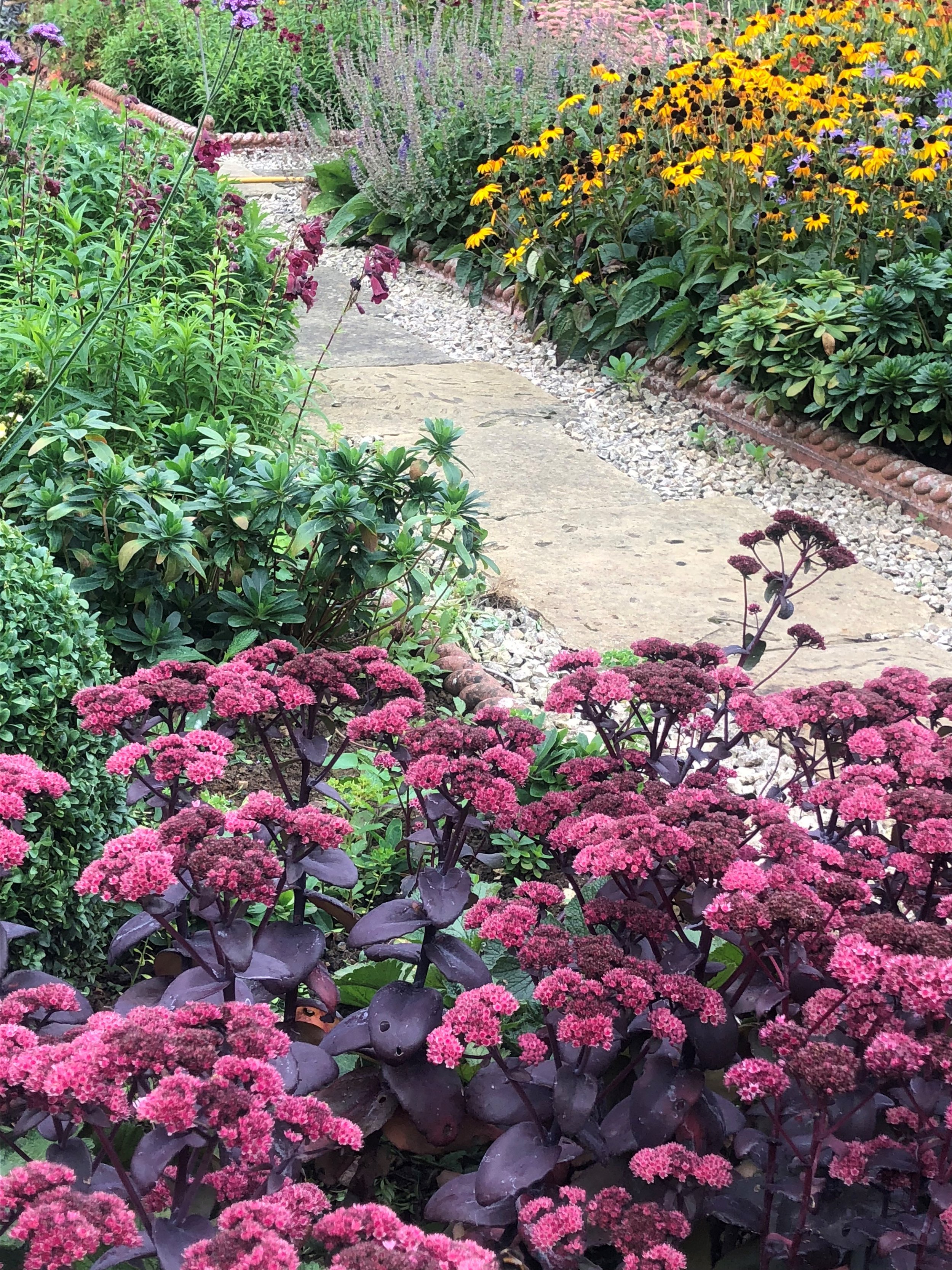 Open Gardens: Calm Cottage, York 2023