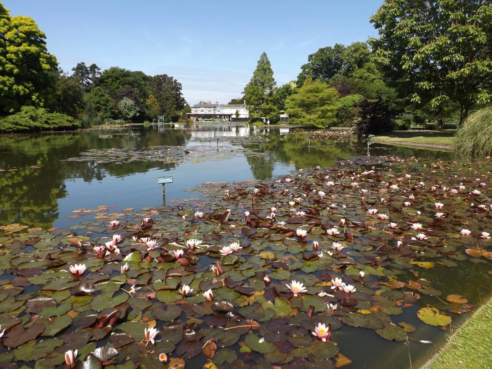 Open Gardens: Burnby Hall Gardens