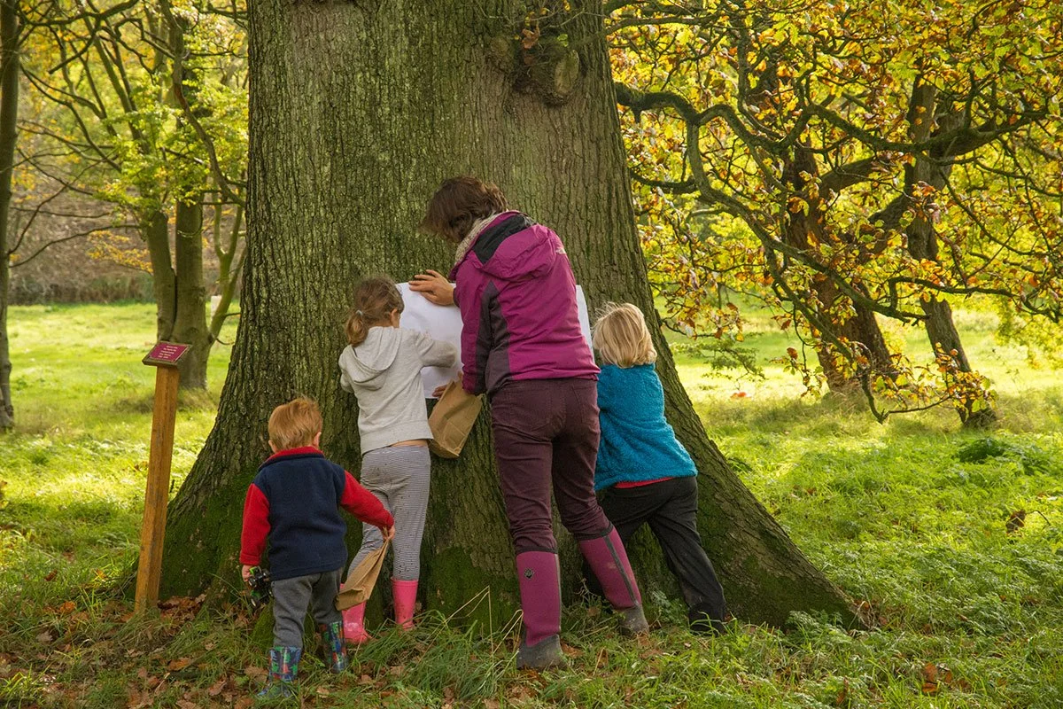 Nature Rangers Day — Yorkshire Arboretum