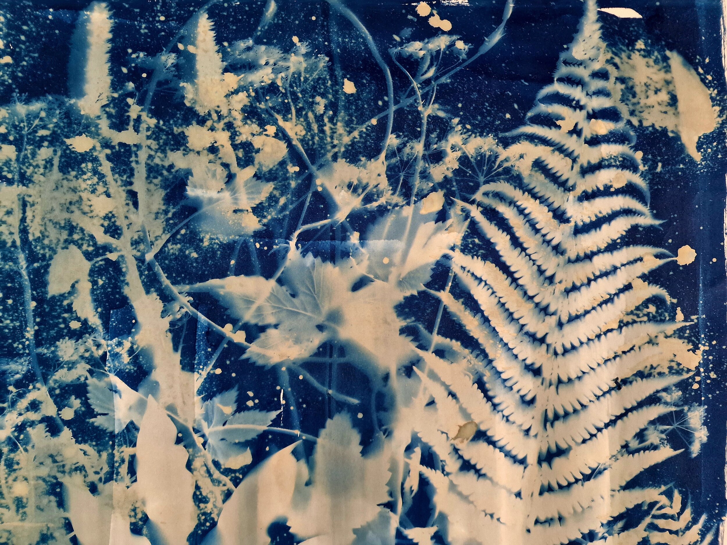 Exhibition: Razvan Chisu