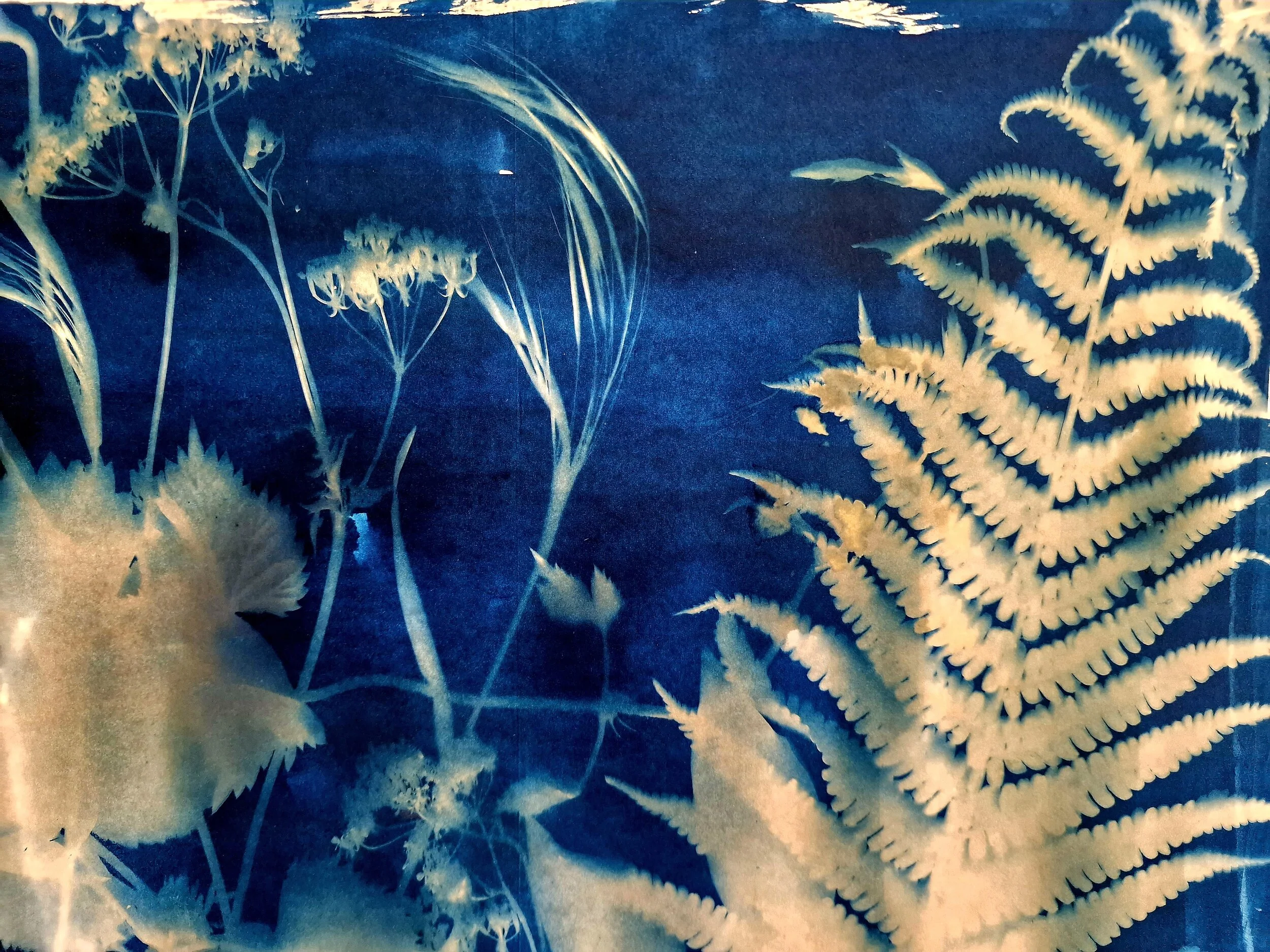 Meet the Artist: Razvan Chisu