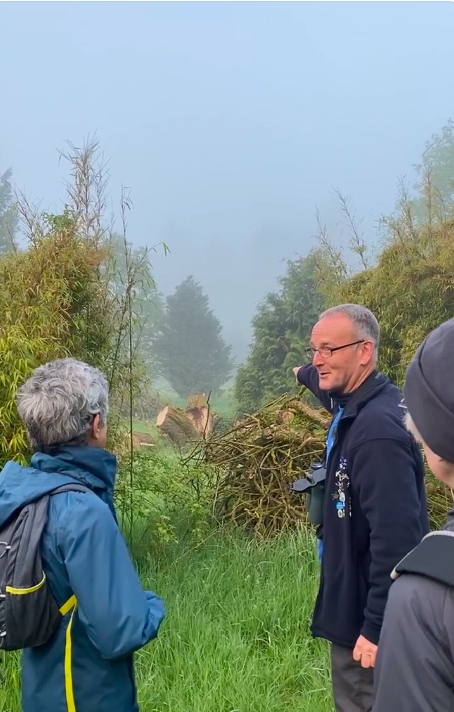 Birding for Beginners