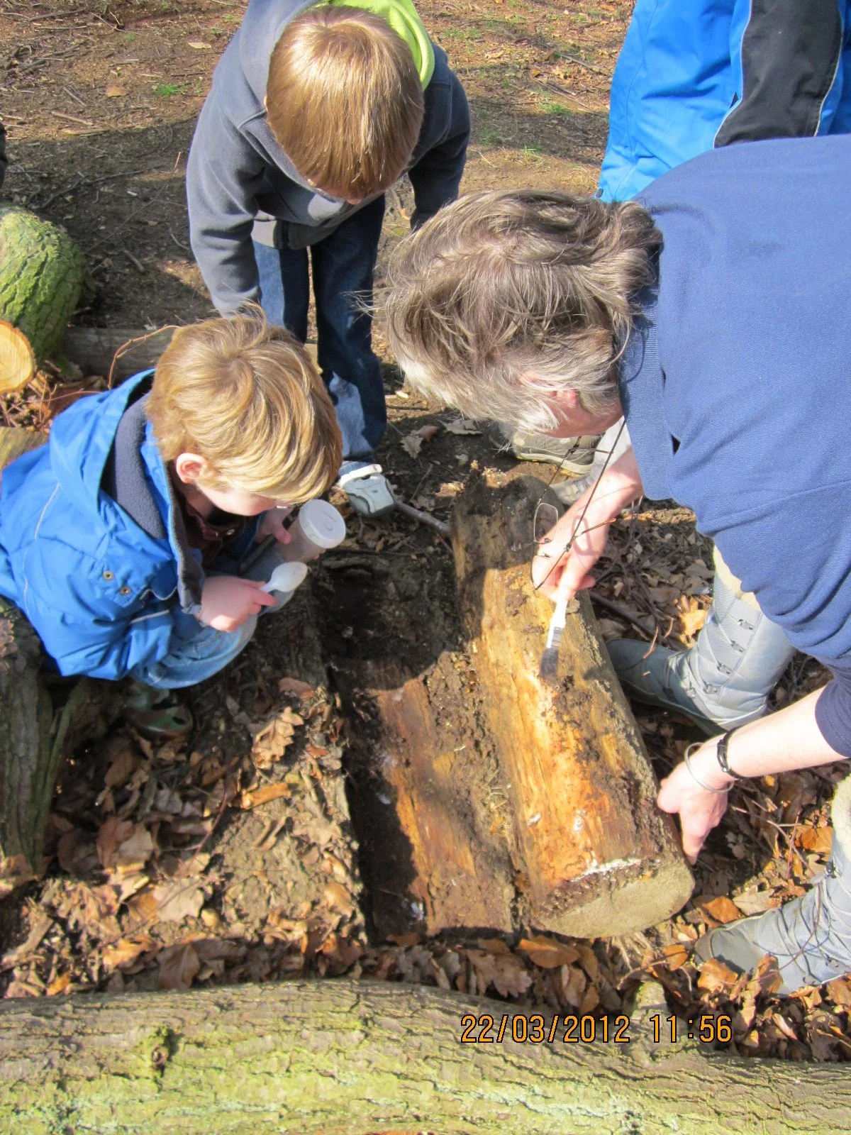 Children Mini beast sessions- drop-in session