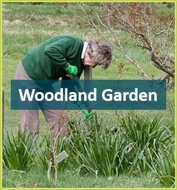 Woodland+Garden.jpg