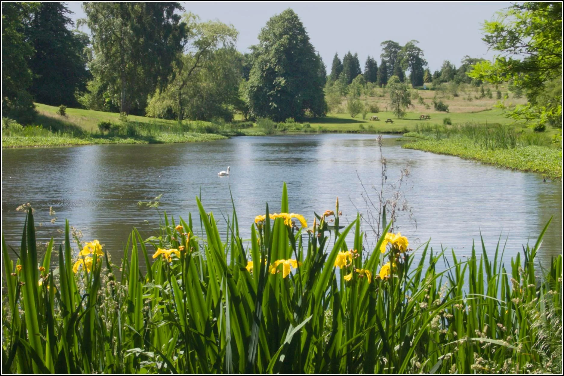 Dual Adult Annual Membership