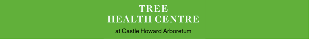 Green banner small.png
