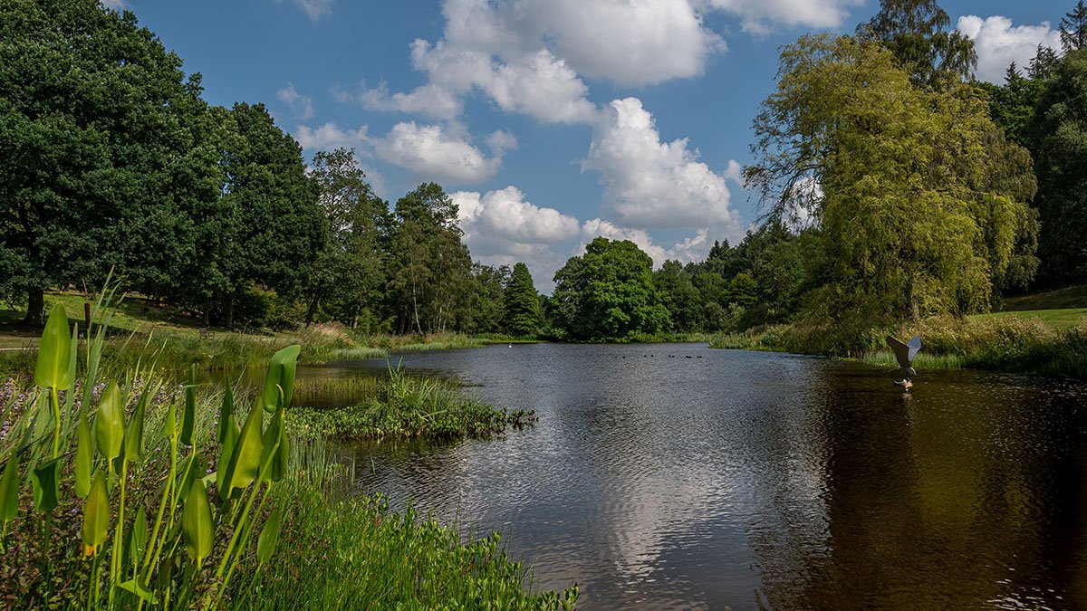 Yorkshire-Arboretum 780_8707.jpg