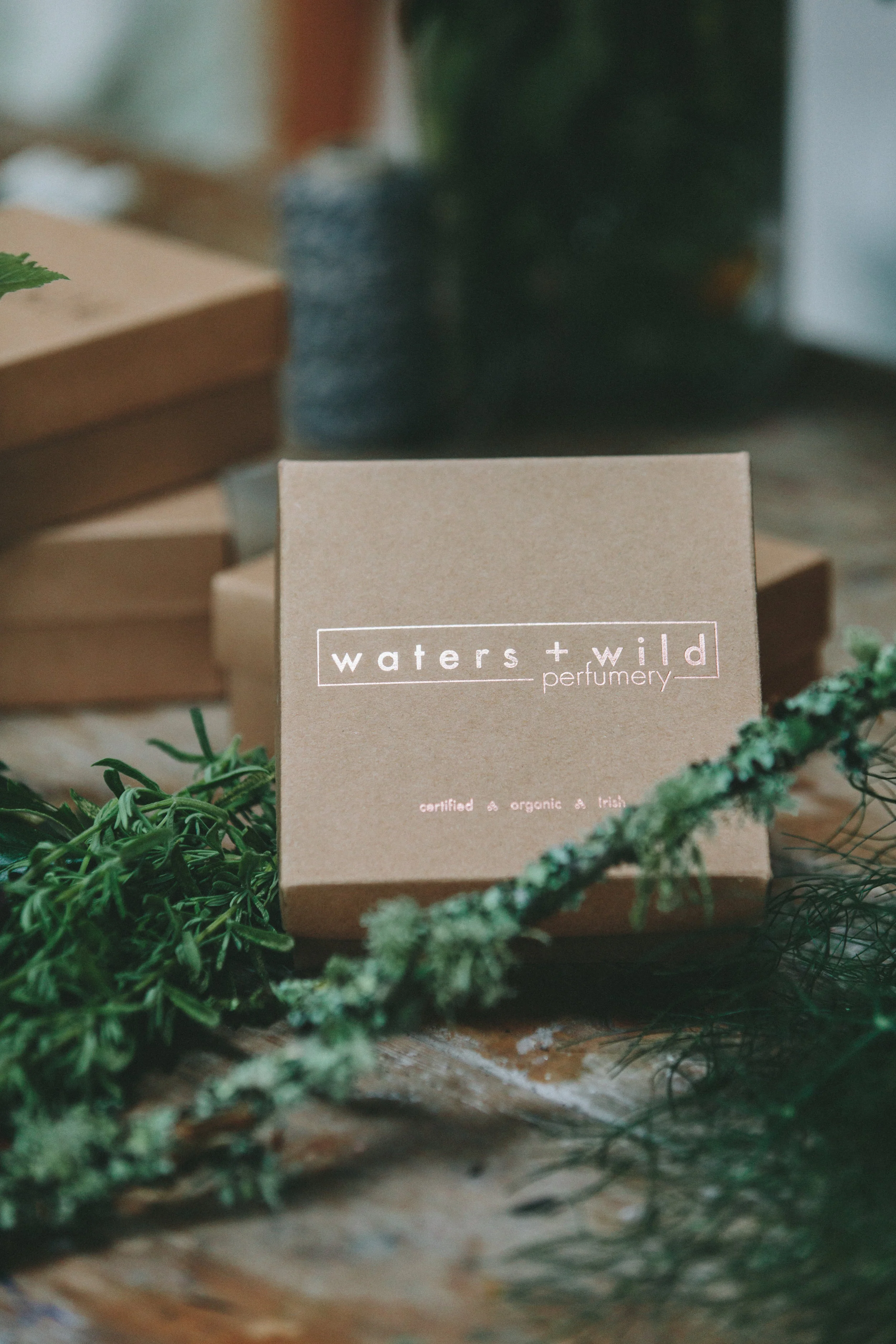 Waters + Wild_310.jpg