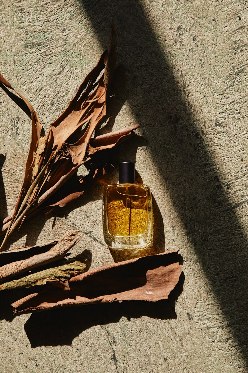 Discovery Set + Perfume voucher of your choice — waters + wild natural