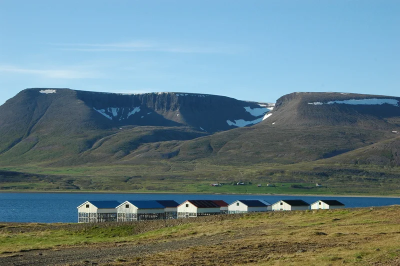 dryhouses.jpg