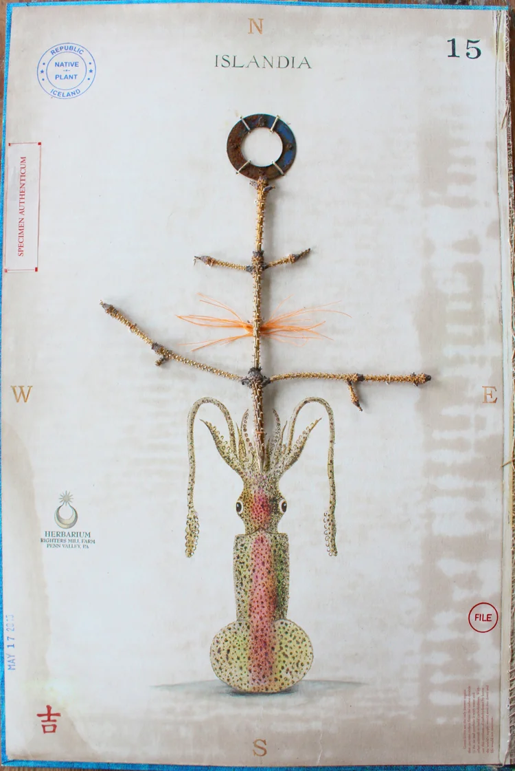 Sitka-Spruce-with-Squid.jpg