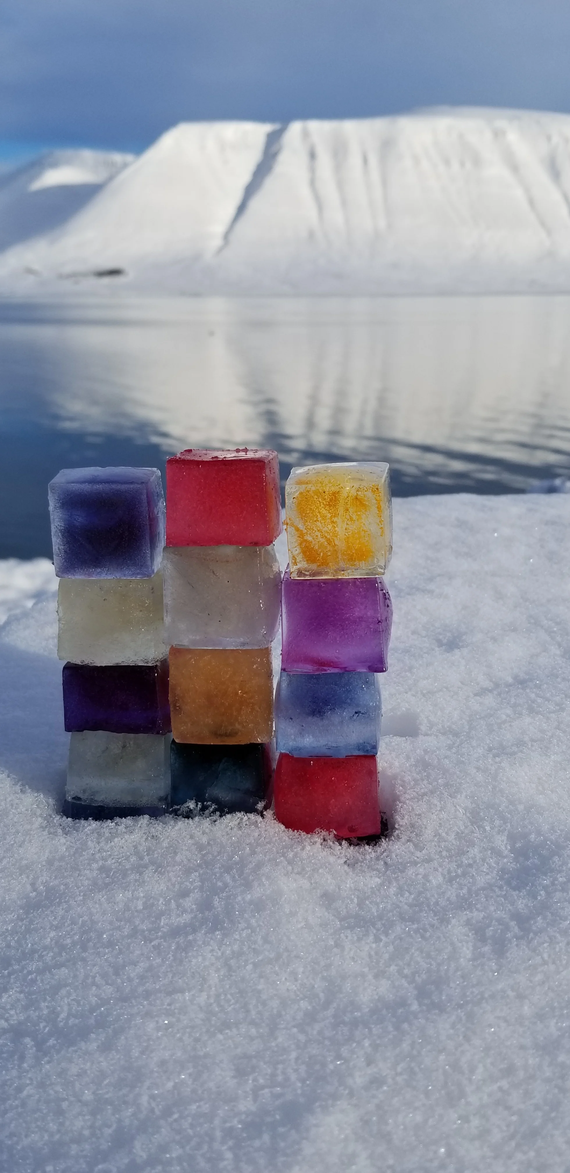 20190214_131537.jpg