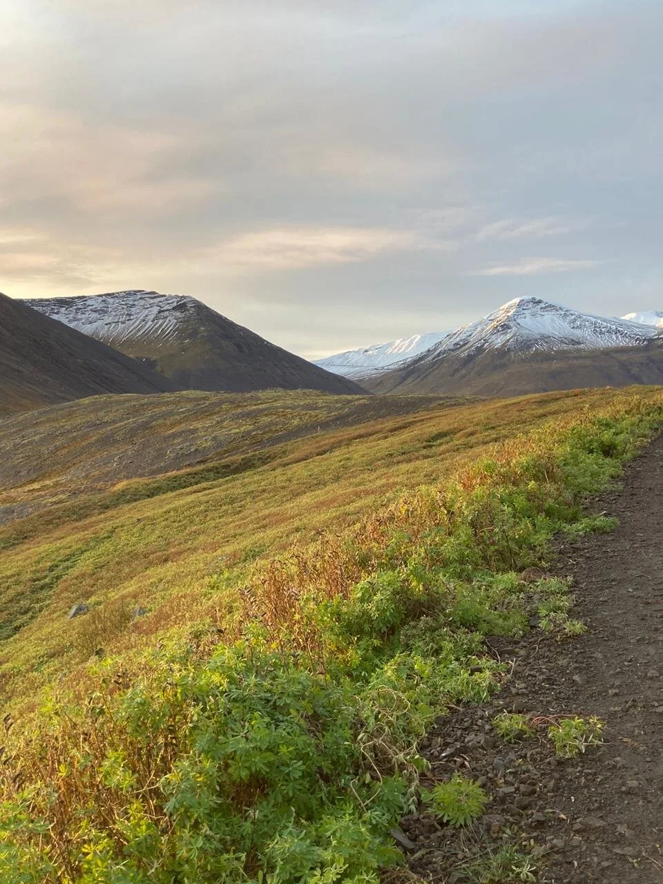 WhatsApp Image 2021-03-23 at 09.48.55.jpeg