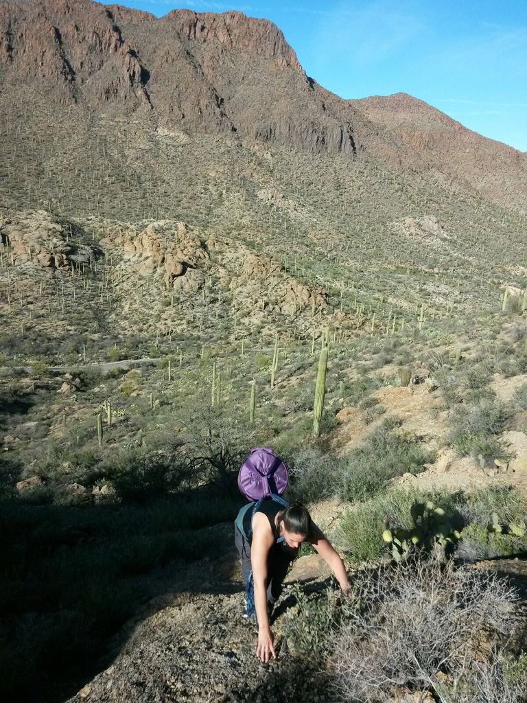 Hiking just outside of Tucson, Arizona to play my bowls