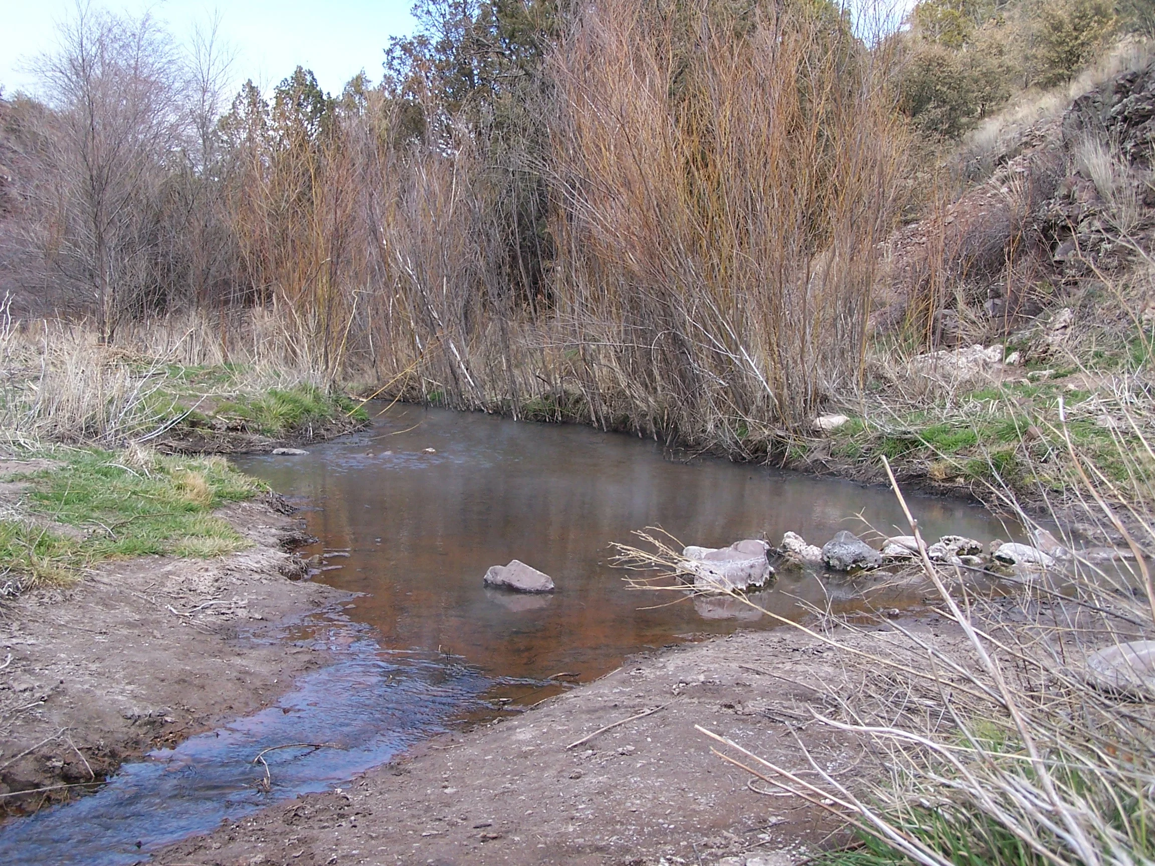 Steam rising off the water. We will pass this spot on our way to the deeper springs up river.