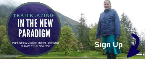 TrailBlazing in the New Paradigm mailchimp.png