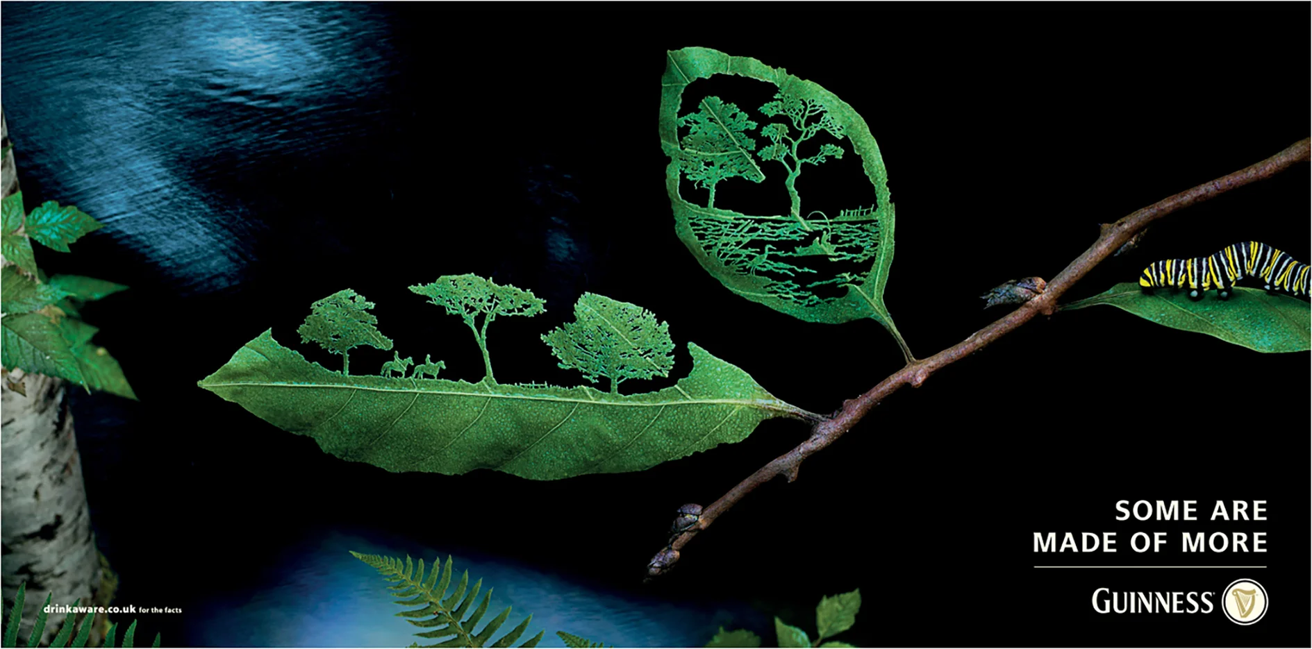 Caterpiller NB SS.jpg