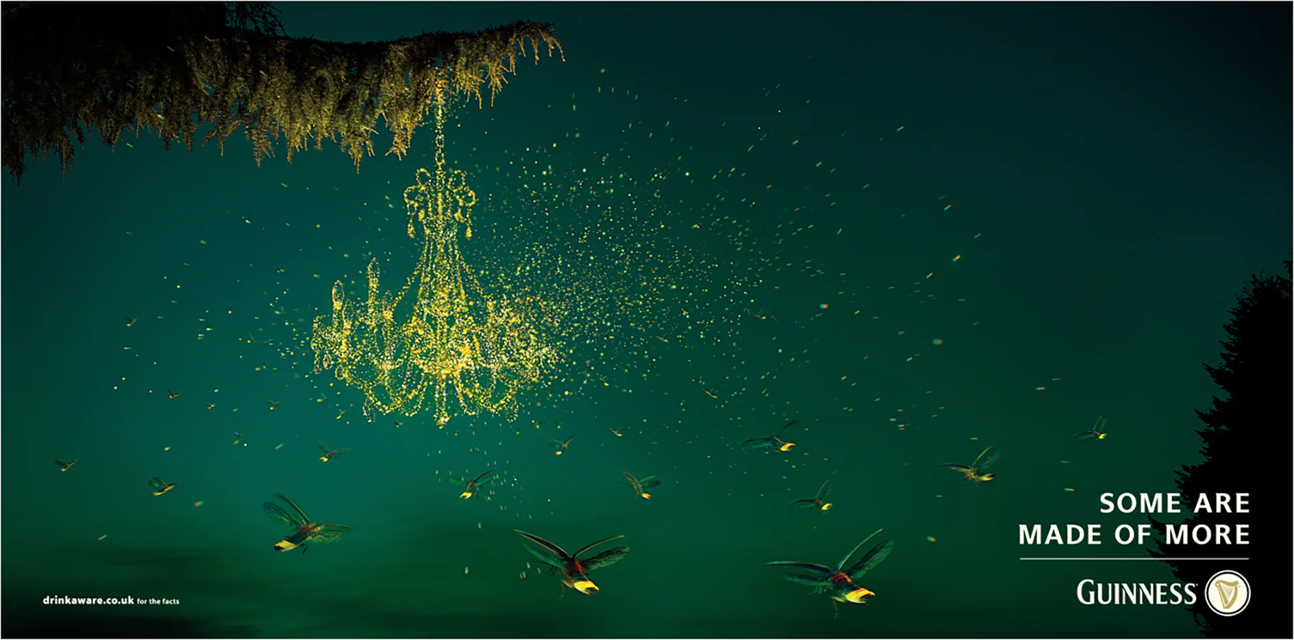 Fireflies NB SS.jpg