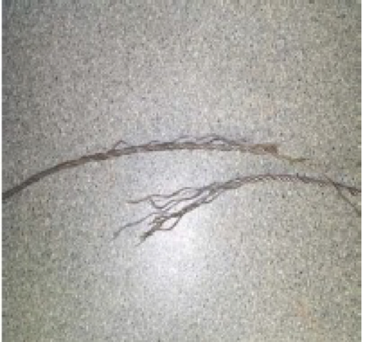 Figure 3: Failed 8mm wire rope