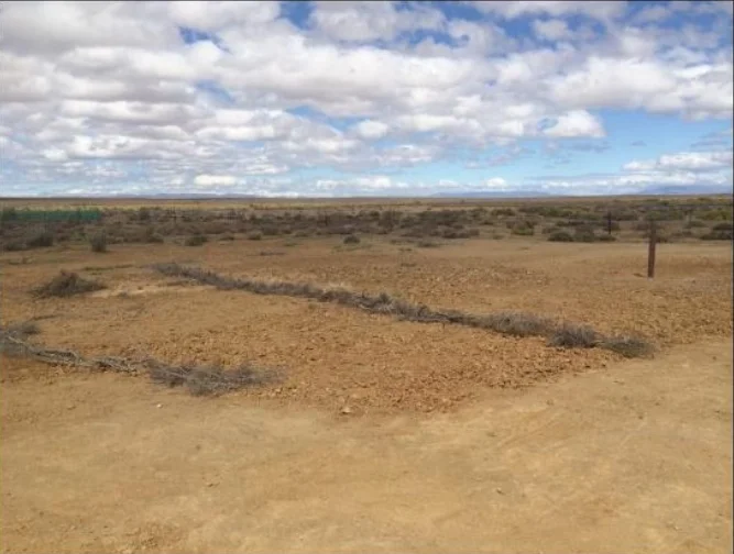 Figure 2: Site rehabilitation post project, Ceres