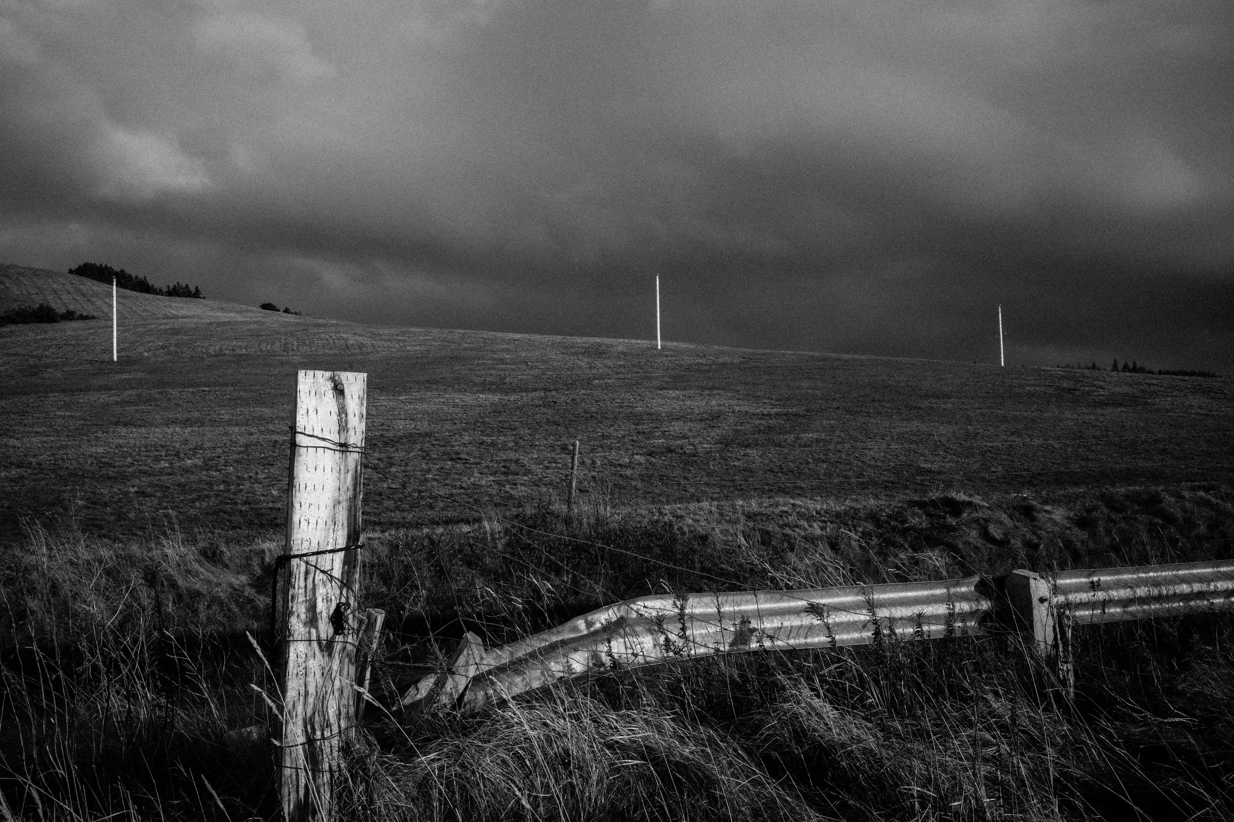 L1000650.jpg