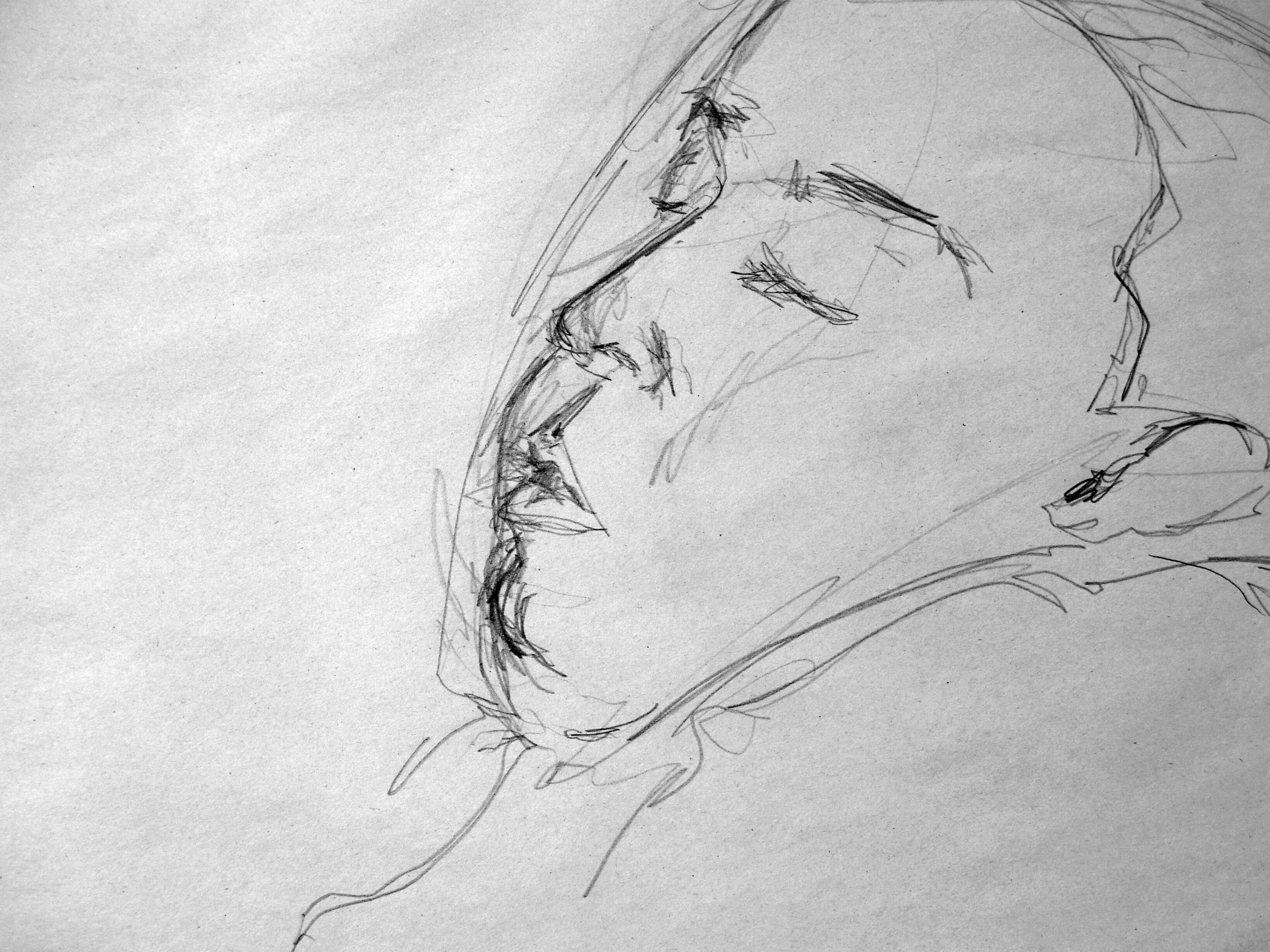   tyler  . pencil on newsprint.  